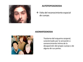 AUTOTOPOAGNOSIA
Falta del reconocimiento espacial
de cuerpo.
ASOMATOGNOSIA
Trastorno del esquema corporal,
caracterizado por la sensación o
convencimiento íntimo de la
desaparición del propio cuerpo o de
alguna de sus partes.