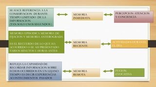 MEMORIA
INMEDIATA:
SE HACE REFERENCIA A LA
CONSERVACION DURANTE
TIEMPO LIMITADO DE LA
IMFORMACION
(TAN SOLO UNOS SEGUNDOS )
PERCEPCION ATENCION
Y CONCIENCIA
MEMORIA
RECIENTE
MEMORIA EPISODICA MEMORIA DE
FIJACION Y MEMORIA ANTEROGRADA
ES EL RECUERDO DE LO QUE HA
ACOURRIDO O SE AH PRESENTADO
VARIOS MINUTOS U HORAS ANTES
ACTIVIDADES DURANTE
EL DIA
MEMORIA
REMOTA
REFLEJA LA CAPASIDAD DE
RECORDAR INFORMACION SOBRE
ECHOS OCURRIDOS EN UN LEJANO
TIEMPO ES DECIR EXPERIENCIAS
ACONTECIMIENTOS PASADOS
FUCION
EVOCATIVA
 