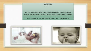 AMNECIA:
ES UN TRANSTORNO DE LA MEMORIA Y ES DEFINIDA
ESENCIALMENTE COMO LA AUCENCIA DEL RECUERDO
SE LA DIVIDE EN RETROGRADA Y ANTEROGRADA
 