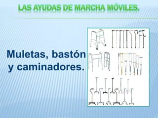 Muletas, bastón
y caminadores.
 