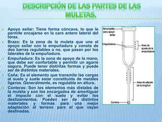  Apoyo axilar: Tiene forma cóncava, lo que le
permite encajarse en la cara antero lateral del
tórax.
 Brazo: Es la zona de la muleta que une el
apoyo axilar con la empuñadura y consta de
dos barras regulables o no, que pasan por los
laterales de la empuñadura.
 Empuñadura: Es la zona de apoyo de la mano,
que debe ser confortable y permitir un agarre
seguro. Puede tener distintas formas y puede
ser de distintos materiales.
 Caña: Es el elemento que transmite las cargas
al suelo y suele estar constituida de metales
ligeros. Generalmente, es regulable en altura.
 Conteras: Son los elementos más distales de
la muleta y son los encargados de amortiguar
el impacto con el suelo y evitar los
deslizamientos. Pueden ser de distintos
materiales y formas para una mejor
adaptación al terreno para el que vayan
destinadas.
 