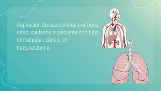 Illustration by
Smart-Servier
Medical Art
Aspiración de secreciones por boca,
nariz, cuidados al paciente con tubo
orotraqueal, cánula de
traqueostomía
 