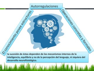 Autorregulaciones
la sucesión de éstas dependen de los mecanismos internos de la
inteligencia, equilibrio y no de la percepción del lenguaje, ni siquiera del
desarrollo neurofisiológico.
 