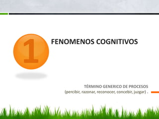 FENOMENOS COGNITIVOS
TÉRMINO GENERICO DE PROCESOS
(percibir, razonar, reconocer, concebir, juzgar) .
1
 