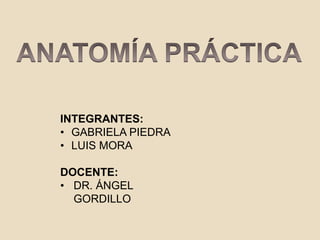 INTEGRANTES:
• GABRIELA PIEDRA
• LUIS MORA
DOCENTE:
• DR. ÁNGEL
GORDILLO
 
