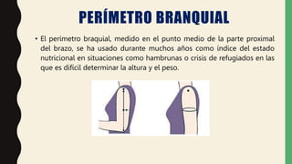 exposici-n-antropometr-a-pptx