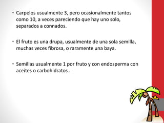 • Carpelos usualmente 3, pero ocasionalmente tantos
como 10, a veces pareciendo que hay uno solo,
separados a connados.
• El fruto es una drupa, usualmente de una sola semilla,
muchas veces fibrosa, o raramente una baya.
• Semillas usualmente 1 por fruto y con endosperma con
aceites o carbohidratos .
 