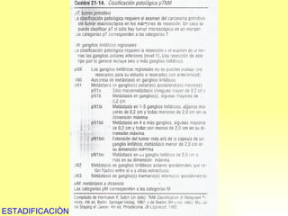 ESTADIFICACIÒN 
