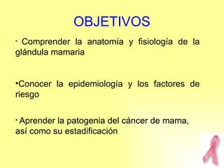 OBJETIVOS Comprender la anatomía y fisiología de la glándula mamaria Conocer la epidemiología y los factores de riesgo Aprender la patogenia del cáncer de mama, así como su estadificación 