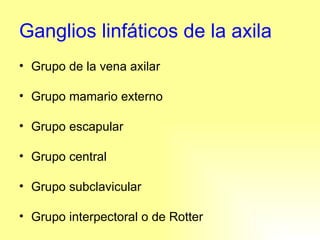Ganglios linfáticos de la axila Grupo de la vena axilar Grupo mamario externo Grupo escapular Grupo central Grupo subclavicular Grupo interpectoral o de Rotter 