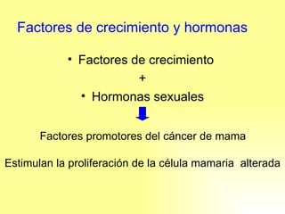 Factores de crecimiento y hormonas Factores de crecimiento  + Hormonas sexuales Factores promotores del cáncer de mama Estimulan la proliferación de la célula mamaria  alterada 