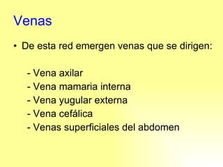 Venas De esta red emergen venas que se dirigen: - Vena axilar - Vena mamaria interna - Vena yugular externa - Vena cefálica - Venas superficiales del abdomen 