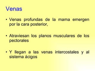 Venas Venas profundas de la mama emergen por la cara posterior, Atraviesan los planos musculares de los pectorales Y llegan a las venas intercostales y al sistema ácigos 