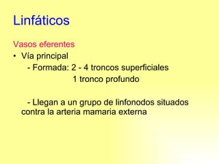 Linfáticos Vasos eferentes Vía principal - Formada: 2 - 4 troncos superficiales 1 tronco profundo - Llegan a un grupo de linfonodos situados contra la arteria mamaria externa 