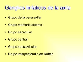 Ganglios linfáticos de la axila Grupo de la vena axilar Grupo mamario externo Grupo escapular Grupo central Grupo subclavicular Grupo interpectoral o de Rotter 