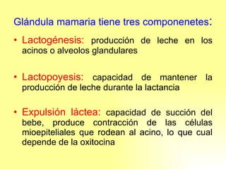 Glándula mamaria tiene tres componenetes : Lactogénesis:   producción de leche en los acinos o alveolos glandulares Lactopoyesis:   capacidad de mantener la producción de leche durante la lactancia Expulsión láctea:   capacidad de succión del bebe, produce contracción de las células mioepiteliales que rodean al acino, lo que cual depende de la oxitocina 