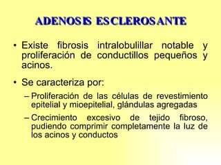 ADENOSIS ESCLEROSANTE Existe fibrosis intralobulillar notable y proliferación de conductillos pequeños y acinos. Se caracteriza por: Proliferación de las células de revestimiento epitelial y mioepitelial, glándulas agregadas Crecimiento excesivo de tejido fibroso, pudiendo comprimir completamente la luz de los acinos y conductos 