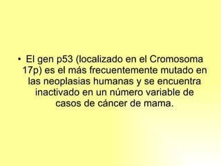 El gen p53 (localizado en el Cromosoma 17p) es el más frecuentemente mutado en las neoplasias humanas y se encuentra inactivado en un número variable de casos de cáncer de mama. 