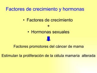 Factores de crecimiento y hormonas Factores de crecimiento  + Hormonas sexuales Factores promotores del cáncer de mama Estimulan la proliferación de la célula mamaria  alterada 