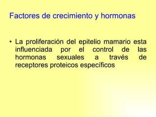 Factores de crecimiento y hormonas La proliferación del epitelio mamario esta influenciada por el control de las hormonas sexuales a través de receptores proteicos específicos 