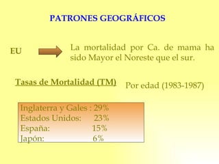PATRONES GEOGRÁFICOS La mortalidad por Ca. de mama ha sido Mayor el Noreste que el sur. EU Tasas de Mortalidad (TM) Por edad (1983-1987) Inglaterra y Gales : 29%  Estados Unidos:  23% España:  15% Japón:  6% 