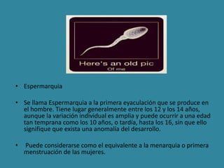 • Espermarquia 
• Se llama Espermarquia a la primera eyaculación que se produce en 
el hombre. Tiene lugar generalmente entre los 12 y los 14 años, 
aunque la variación individual es amplia y puede ocurrir a una edad 
tan temprana como los 10 años, o tardía, hasta los 16, sin que ello 
signifique que exista una anomalía del desarrollo. 
• Puede considerarse como el equivalente a la menarquia o primera 
menstruación de las mujeres. 
 