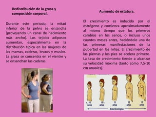 Redistribución de la grasa y 
composición corporal. 
Durante este periodo, la mitad 
inferior de la pelvis se ensancha 
(proveyendo un canal de nacimiento 
más ancho). Los tejidos adiposos 
aumentan, especialmente en la 
distribución típica en las mujeres de 
las mamas, caderas, brazos y muslos. 
La grasa se concentra en el vientre y 
se ensanchan las caderas. 
Aumento de estatura. 
El crecimiento es inducido por el 
estrógeno y comienza aproximadamente 
al mismo tiempo que los primeros 
cambios en los senos, o incluso unos 
cuantos meses antes, haciéndolo una de 
las primeras manifestaciones de la 
pubertad en las niñas. El crecimiento de 
las piernas y los pies se acelera primero. 
La tasa de crecimiento tiende a alcanzar 
su velocidad máxima (tanto como 7,5-10 
cm anuales). 
 