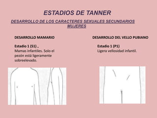 ESTADIOS DE TANNER 
DESARROLLO DE LOS CARACTERES SEXUALES SECUNDARIOS 
MUJERES 
DESARROLLO MAMARIO DESARROLLO DEL VELLO PUBIANO 
Estadio 1 (S1) „ 
Mamas infantiles. Solo el 
pezón está ligeramente 
sobreelevado. 
Estadio 1 (P1) 
Ligera vellosidad infantil. 
 
