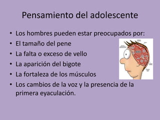 Pensamiento del adolescente 
• Los hombres pueden estar preocupados por: 
• El tamaño del pene 
• La falta o exceso de vello 
• La aparición del bigote 
• La fortaleza de los músculos 
• Los cambios de la voz y la presencia de la 
primera eyaculación. 
 
