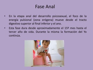 Fase Anal 
• En la etapa anal del desarrollo psicosexual, el foco de la 
energía pulsional (zona erógena) mueve desde el tracto 
digestivo superior al final inferior y el ano. 
• Esta fase dura desde aproximadamente el 15º mes hasta el 
tercer año de vida. Durante la misma la formación del Yo 
continúa. 
 