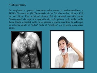 • Vello corporal. 
Se empiezan a generar hormonas tales como la androstenediona y 
DiHidroTestosterona (DHT) alrededor de los 7/8 años en las chicas y 9/10 
en los chicos. Esta actividad elevada del eje Adrenal conocida como 
"adrenarquia" da lugar a la aparición del vello púbico, vello axilar, vello 
facial (barba y bigote), vello en las piernas y brazos, una línea de vello que 
se extiende desde el "pubis" hasta el "ombligo", en el pecho entre otras 
cosas. 
 