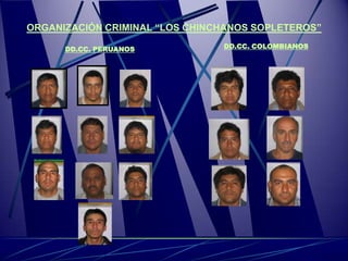ORGANIZACIÓN CRIMINAL “LOS CHINCHANOS SOPLETEROS”

      DD.CC. PERUANOS           DD.CC. COLOMBIANOS
 