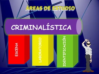 ESCENA




 LABORATORIO




IDENTIFICACIÓN
                 CRIMINALÍSTICA
 