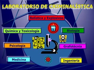 Balística y Explosivos



Química y Toxicología                     Biología



  Psicología                            Grafotécnia



    Medicina                        Ingeniería
 