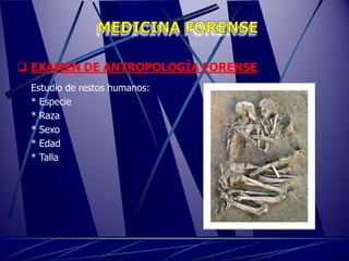  EXAMEN DE ANTROPOLOGÍA FORENSE
 Estudio de restos humanos:
 * Especie
 * Raza
 * Sexo
 * Edad
 * Talla
 