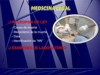 NECROPSIA DE LEY
 - Causa de muerte
 - Mecanismo de la muerte
 - Data
 - Identificación de “NN”

 EXAMENES DE LABORATORIO
 