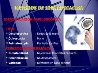 IDENTIFICACIÓN PAPILOSCÓPICA

 TIPOS
 * Dactiloscópica   : Dedos de la mano
 * Quiroscopía      : Mano
 * Pelmatoscopía    : Planta de los Pies
 PRINCIPIOS IDENTIFICATORIOS
 * Inmutabilidad    : No cambian las crestas papilares
 * Perennización    : No desaparecen
 * Variedad         : Diferentes en cada persona
 