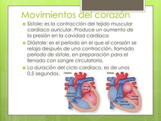 Movimientos del corazón






Sístole: es la contracción del tejido muscular
cardiaco auricular. Produce un aumento de
la presión en la cavidad cardiaca
Diástole: es el período en el que el corazón se
relaja después de una contracción, llamado
período de sístole, en preparación para el
llenado con sangre circulatoria.
La duración del ciclo cardíaco, es de unos
0,5 segundos.

 