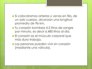  Si

colocáramos arterias y venas en fila, de
un solo cuerpo, alcanzan una longitud
promedio de 96 km.
 Tu corazón bombea 4,5 litros de sangre
por minuto, es decir 6.480 litros al día.
 El corazón es el músculo corporal que
más duro trabaja.
 Las personas pueden vivir sin corazón
(mediante una válvula).

 