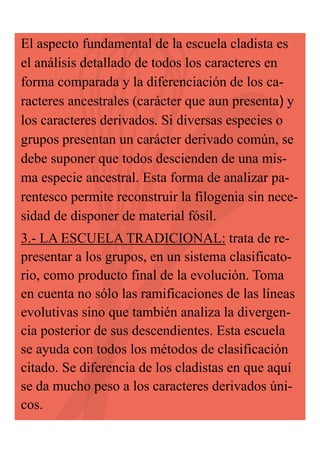 El aspecto fundamental de la escuela cladista es
el análisis detallado de todos los caracteres en
forma comparada y la diferenciación de los caracteres ancestrales (carácter que aun presenta) y
los caracteres derivados. Si diversas especies o
grupos presentan un carácter derivado común, se
debe suponer que todos descienden de una misma especie ancestral. Esta forma de analizar parentesco permite reconstruir la filogenia sin necesidad de disponer de material fósil.
3.- LA ESCUELA TRADICIONAL: trata de representar a los grupos, en un sistema clasificatorio, como producto final de la evolución. Toma
en cuenta no sólo las ramificaciones de las líneas
evolutivas sino que también analiza la divergencia posterior de sus descendientes. Esta escuela
se ayuda con todos los métodos de clasificación
citado. Se diferencia de los cladistas en que aquí
se da mucho peso a los caracteres derivados únicos.

 
