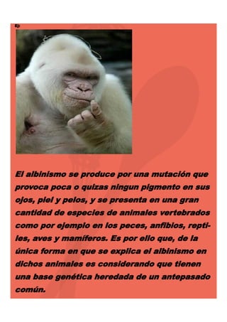 Ej:

El albinismo se produce por una mutación que
provoca poca o quizas ningun pigmento en sus
ojos, piel y pelos, y se presenta en una gran
cantidad de especies de animales vertebrados
como por ejemplo en los peces, anfibios, reptiles, aves y mamíferos. Es por ello que, de la
única forma en que se explica el albinismo en
dichos animales es considerando que tienen
una base genética heredada de un antepasado
común.

 