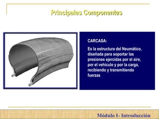 MSM
Módulo I- Introducción
Principales Componentes
CARCASA:
Es la estructura del Neumático,
diseñada para soportar las
presiones ejercidas por el aire,
por el vehículo y por la carga,
recibiendo y transmitiendo
fuerzas
 