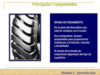 MSM
Módulo I - Introducción
Principales Componentes
BANDA DE RODAMIENTO:
Es la parte del Neumático que
está en contacto con el suelo.
Sus compuestos poseen
propiedades para proporcionar
resistencia a la fricción, tracción
y durabilidad.
El diseño de la banda de
rodamiento dependerá del tipo de
superficie .
 