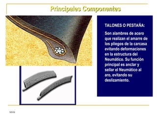 MSM
Principales Componentes
TALONES O PESTAÑA:
Son alambres de acero
que realizan el amarre de
los pliegos de la carcasa
evitando deformaciones
en la estructura del
Neumático. Su función
principal es anclar y
sellar el Neumático al
aro, evitando su
deslizamiento.
 