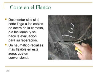 MSM
Corte en el Flanco
 Desmontar sólo si el
corte llega a los cables
de acero de la carcasa,
o a las lonas, y se
hace la evaluación
para su reparación.
 Un neumático radial es
más flexible en esta
zona, que un
convencional.
 