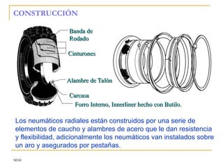 MSM
CONSTRUCCIÓN
Forro Interno, Innerliner hecho con Butilo.
Forro Interno, Innerliner hecho con Butilo.
Banda de
Banda de
Rodado
Rodado
Cinturones
Cinturones
Alambre de Talón
Alambre de Talón
Carcasa
Carcasa
Los neumáticos radiales están construidos por una serie de
elementos de caucho y alambres de acero que le dan resistencia
y flexibilidad, adicionalmente los neumáticos van instalados sobre
un aro y asegurados por pestañas.
 