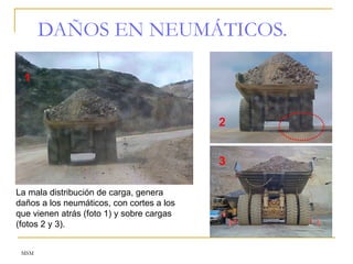 MSM
DAÑOS EN NEUMÁTICOS.
La mala distribución de carga, genera
daños a los neumáticos, con cortes a los
que vienen atrás (foto 1) y sobre cargas
(fotos 2 y 3).
1
3
2
 