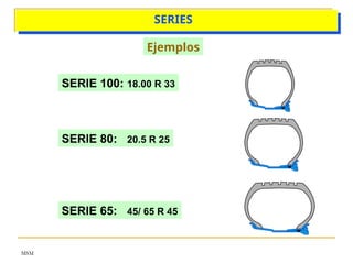 MSM
SERIES
Ejemplos
SERIE 100: 18.00 R 33
SERIE 80: 20.5 R 25
SERIE 65: 45/ 65 R 45
 