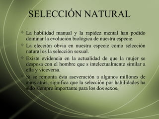 SELECCIÓN NATURAL
 La habilidad manual y la rapidez mental han podido
dominar la evolución biológica de nuestra especie.
 La elección obvia en nuestra especie como selección
natural es la selección sexual.
 Existe evidencia en la actualidad de que la mujer se
desposa con el hombre que s intelectualmente similar a
ella y viceversa.
 Si se remonta ésta aseveración a algunos millones de
años atrás, significa que la selección por habilidades ha
sido siempre importante para los dos sexos.
 
