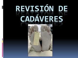Exposición criminalistica documentación y revisición de cadaveres | PPTX